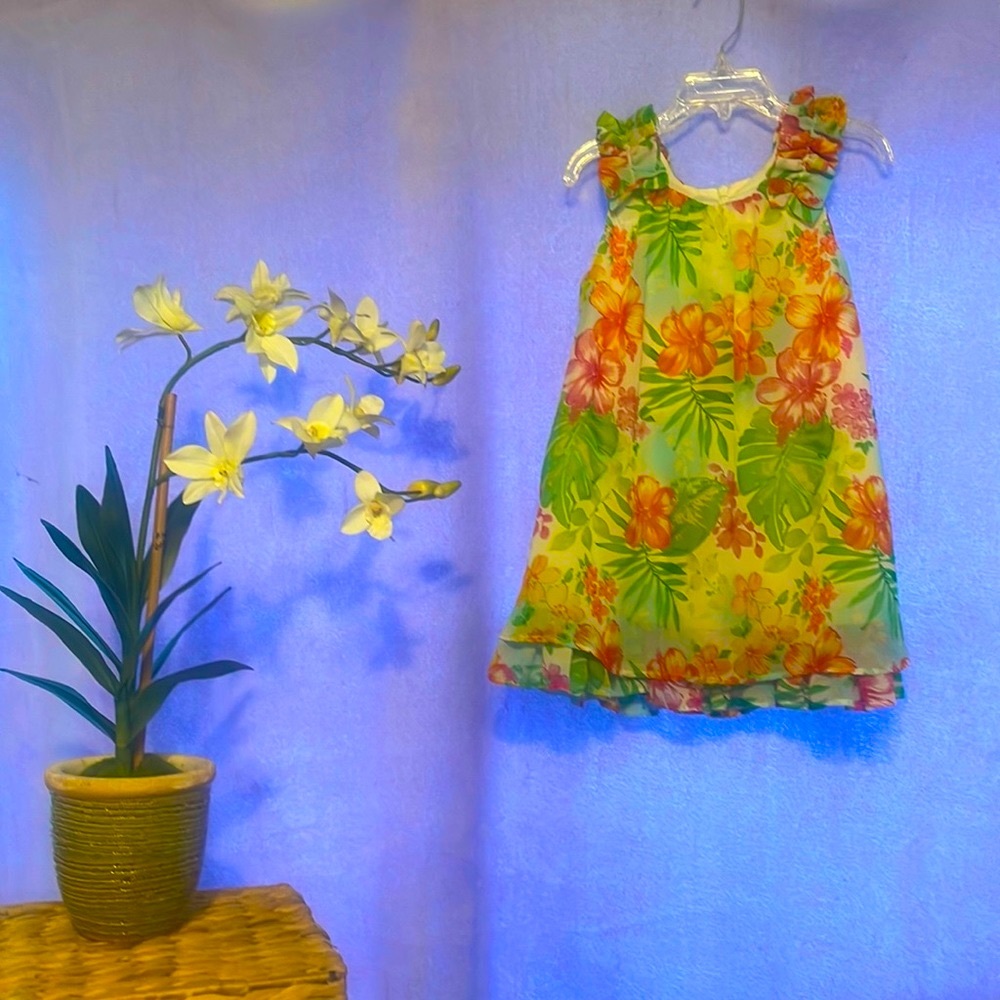 🌺Bonnie Jean - girls summer dress - size 4T